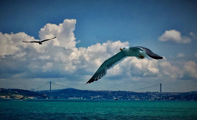 luxury-private-and-guided-istanbul-food-tour-with-a-local-guide