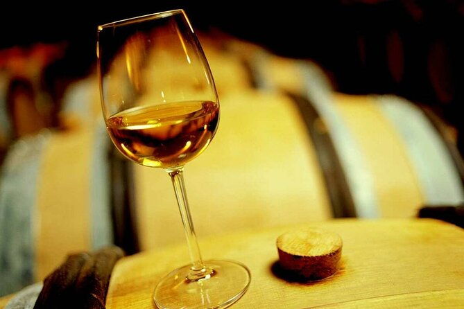 luxury-private-arrabida-tour-and-bacalhoa-palace-with-exclusive-wine-taste