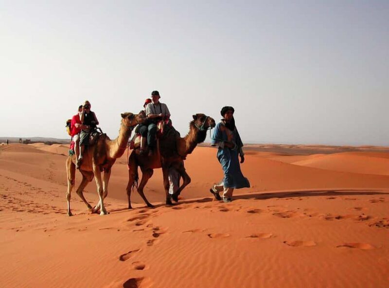 Luxury Private Casablanca Desert tours 9 Days - Key Points