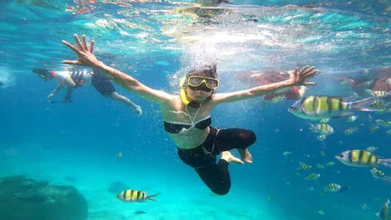 Luxury Private Charter to Coral Island Full Day Trip - Key Points