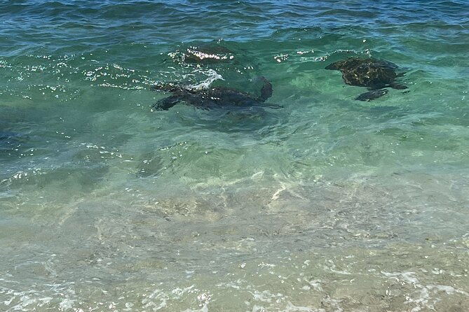 luxury-private-circle-island-charter-tour