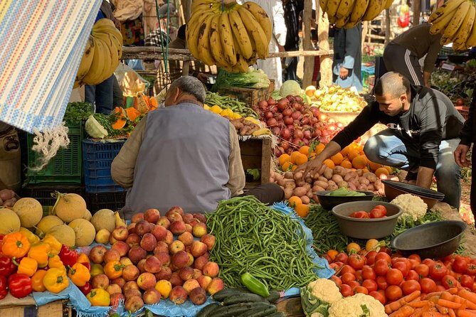 Luxury private day trip - Atlas Mountains, Agafay Desert & camels - Key Points