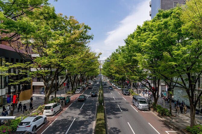 Luxury Private Shopping Tour in Tokyo with VIP Concierge Services - Who Would Love This Tour?