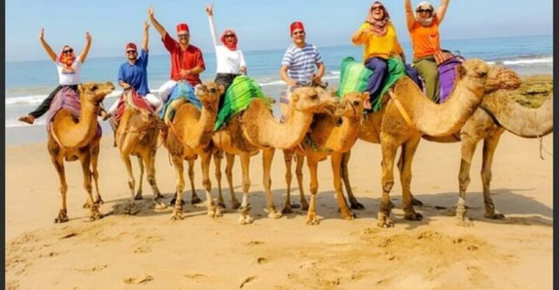 Luxury Private Tangier Tour from Malaga all inclusive - Introduction