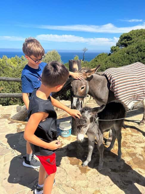 Luxury Private Tangier Tour from Marbella all inclusive - Final Thoughts: Is This a Good Fit?