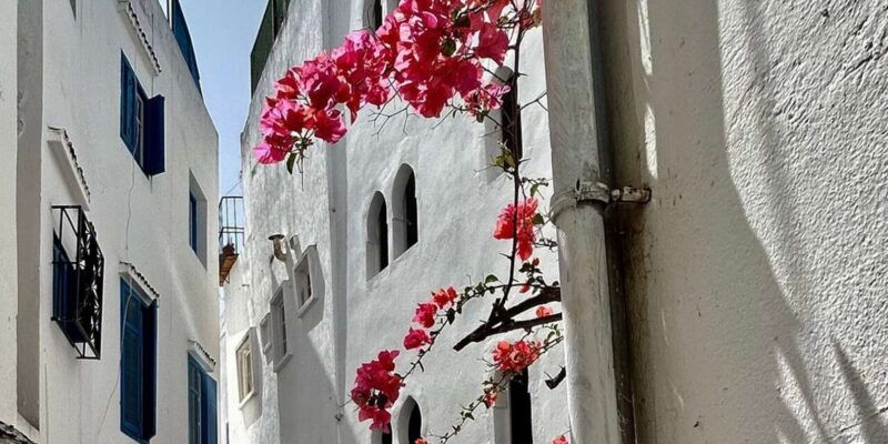 luxury-private-tangier-tour-from-marbella-all-inclusive