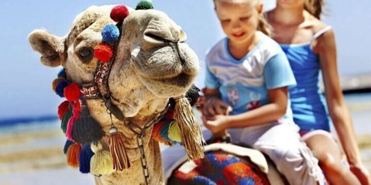 luxury-private-tangier-tour-from-marbella-all-inclusive