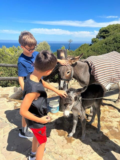 luxury-private-tangier-tour-from-marbella-all-inclusive