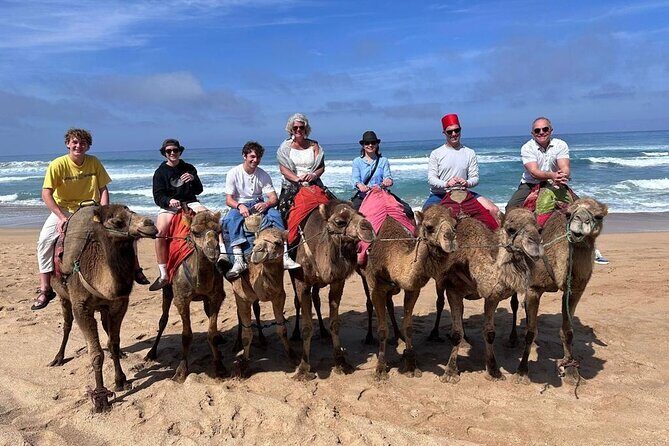 Luxury Private Tangier Tour with Lunch and Camel Ride - Key Points
