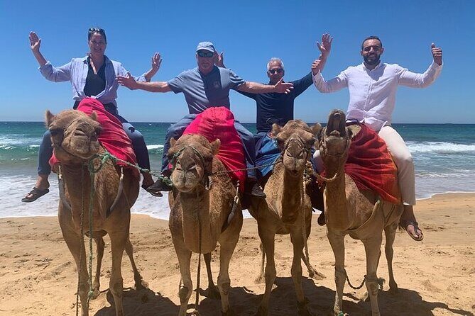 Luxury Private Tangier Tour with Lunch and Camel Ride - The Sum Up