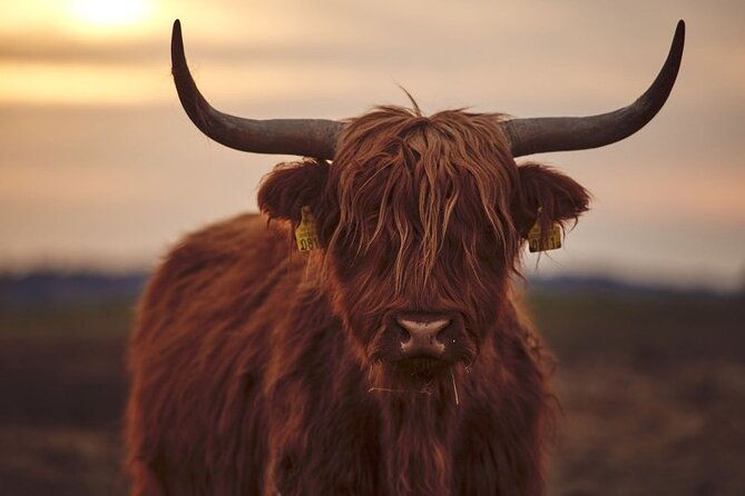 luxury-private-tour-of-the-highlands-loch-ness-from-edinburgh