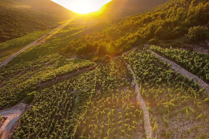 luxury-private-transfer-dubrovnik-split-with-lunch-in-ston