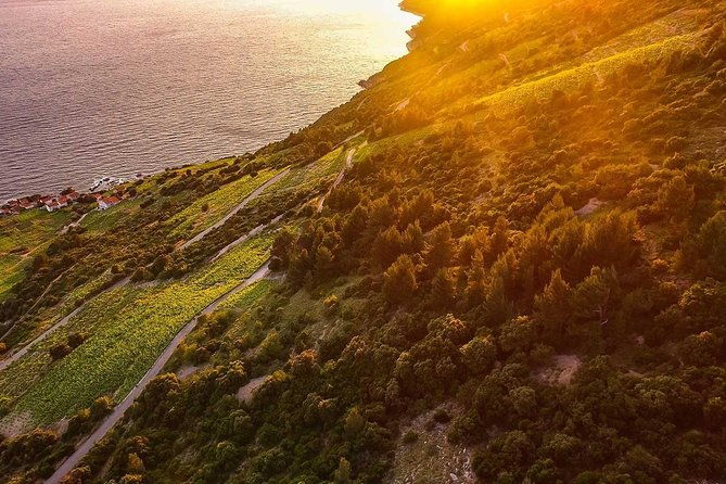 luxury-private-transfer-split-dubrovnik-with-lunch-in-ston-2