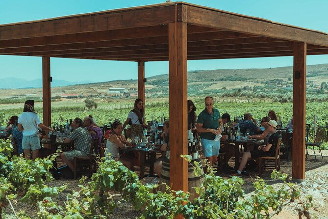 luxury-private-wine-tasting-in-crete-also-for-cruise-ships-2