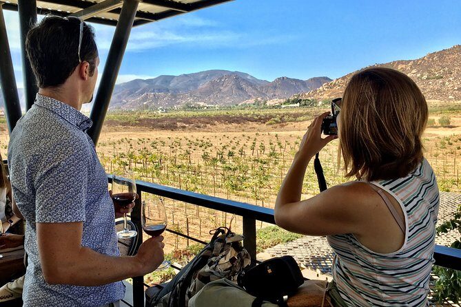 Luxury Private Wine Tasting Tour to Guadalupe Valley from San Diego - Exploring the Guadalupe Valley Private Wine Tour in Detail