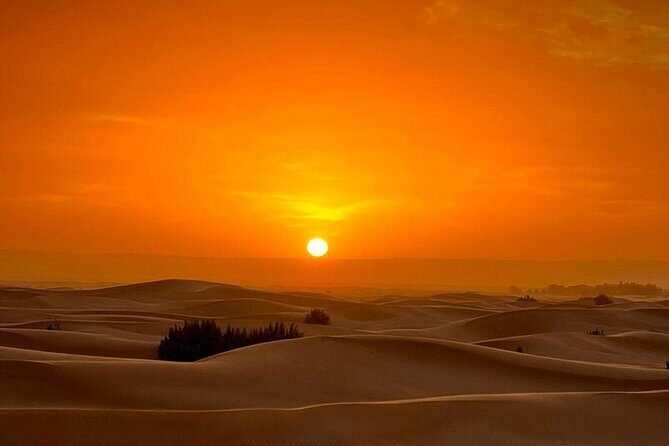 Luxury Sahara Desert From Fez back to fez or marrakech overnight - Practical Details for Travelers