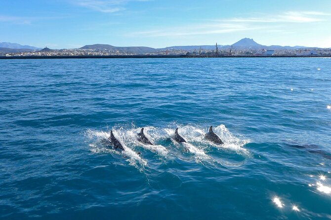 luxury-sailing-snorkel-and-lunch-cruise-shared