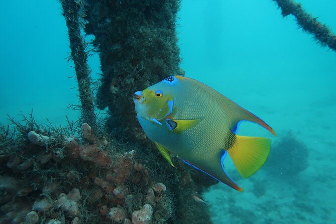 luxury-snorkeling-on-your-vacation-exclusively-private-guaranteed-2
