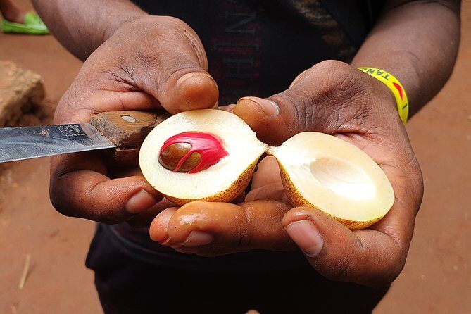 Luxury Spice Tour With Lunch - The Highlight: A Luxurious Zanzibari Lunch
