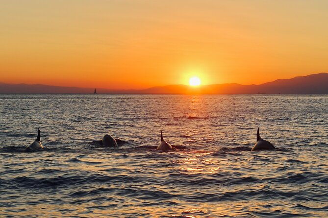 luxury-sunset-cruise-with-aperitif