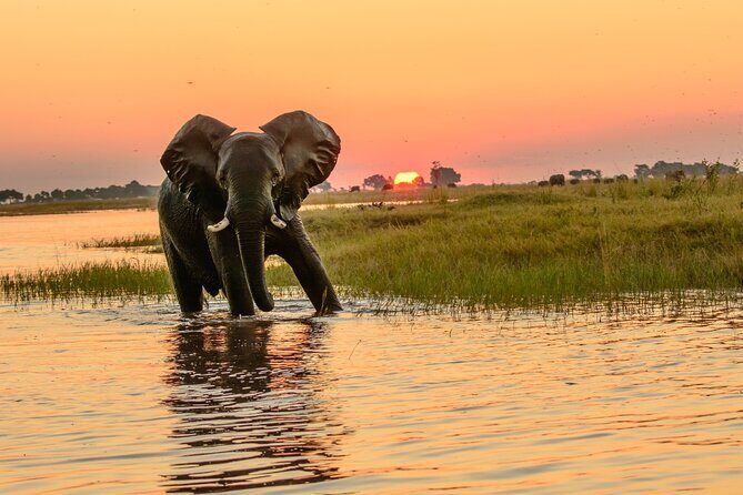 Luxury Sunset River Cruise on the Zambezi - Practical Details
