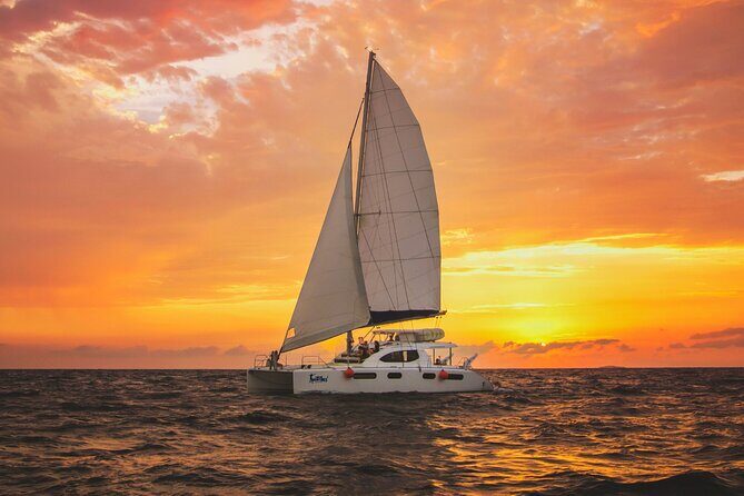 Luxury Sunset Sailing Cruise in Cancun with Light Dinner and Open Bar - The Experience: What to Expect