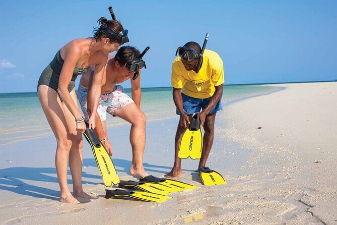 Luxury Swimming with DOLPHINS IN MNEMBA and LUNCH - Transportation and Equipment