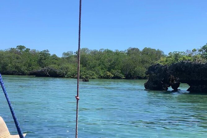 Luxury Swimming with DOLPHINS IN MNEMBA and LUNCH - Who Should Book This Tour?