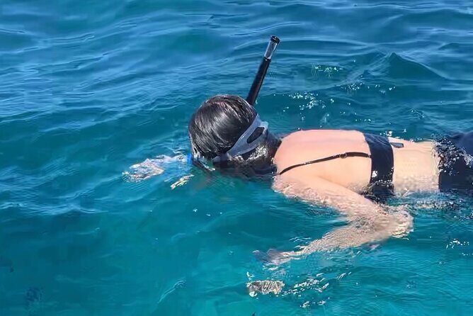 Luxury Swimming with DOLPHINS IN MNEMBA and LUNCH - Final Thoughts: Is It Worth It?