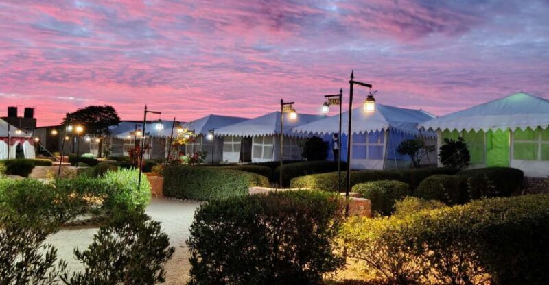 Luxury tent, dinner, breakfast, camel ride in thar desert - An Overview of What to Expect