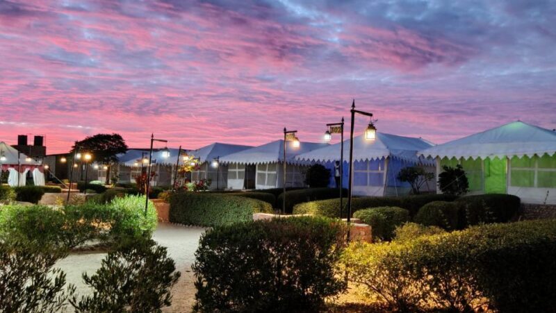 Luxury tent, dinner, breakfast, camel ride in thar desert - Detailed Itinerary Breakdown