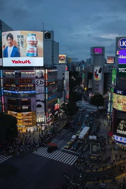 Luxury Tokyo City Attractive Full Day Private Tour - Authentic Experiences and Traveler Feedback