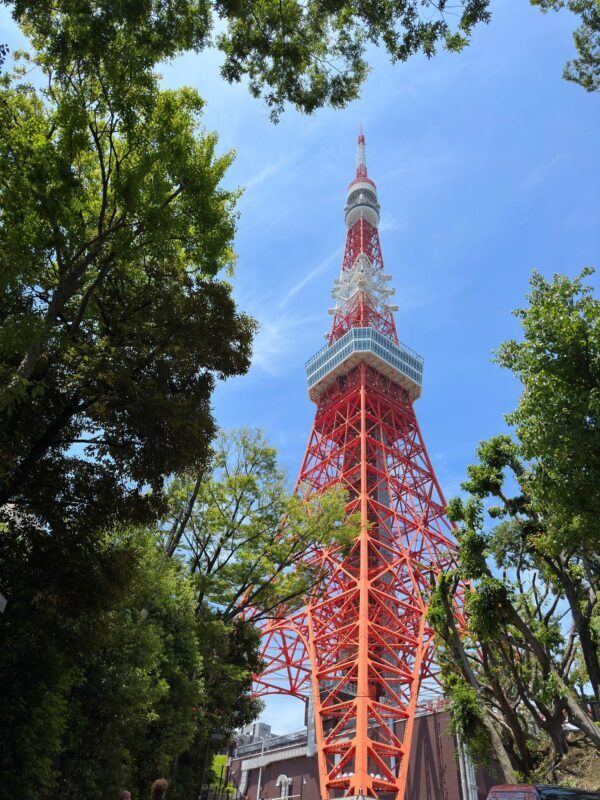 Luxury Tokyo City Attractive Full Day Private Tour - Final Thoughts