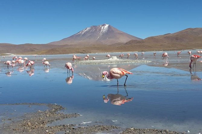 luxury-uyuni-salt-flats-3d-2n-tour-from-la-paz-by-air