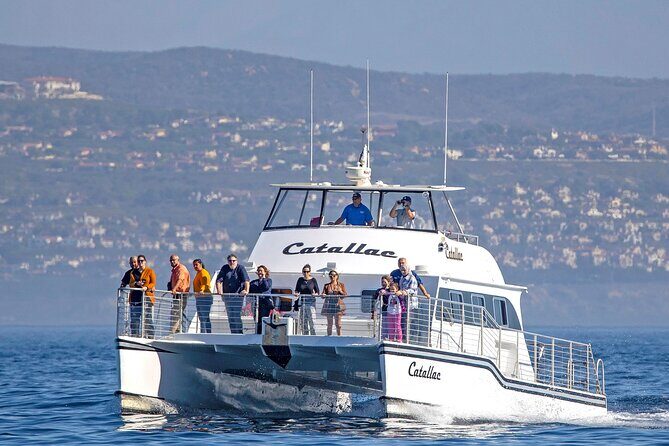 Luxury Whale Watching: Fewer People, Extra Speed, Expert Staff - The Booking Process and First Impressions