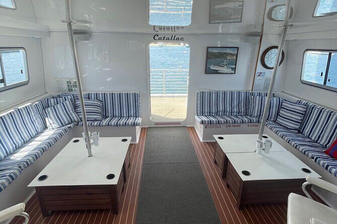 Luxury Whale Watching: Fewer People, Extra Speed, Expert Staff - The Cost and Value