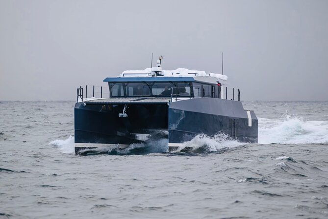luxury-whale-watching-from-tromso-small-group-and-local-guide