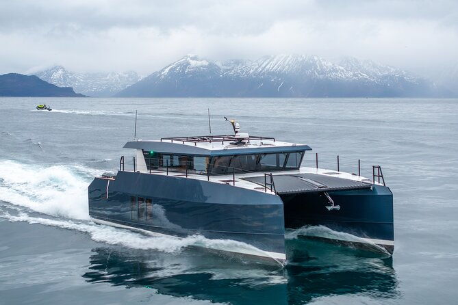 luxury-whale-watching-from-tromso-small-group-and-local-guide