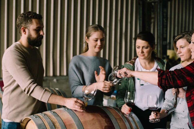 Luxury Wine Tasting & Fine Dining Trip From Sydney - Who Should Consider This Tour?
