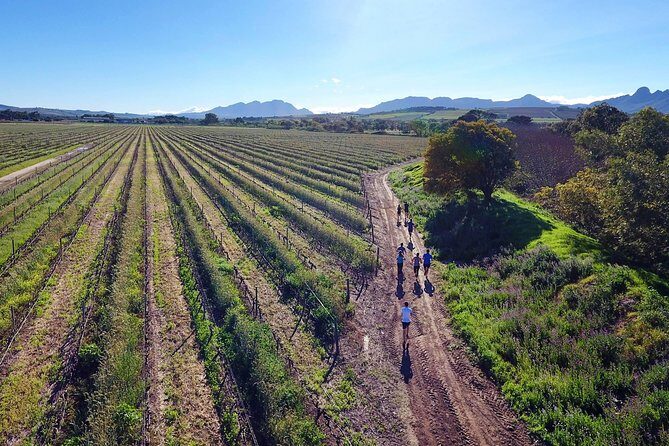 Luxury Wine Tour with Lunch - Who Should Consider This Tour?