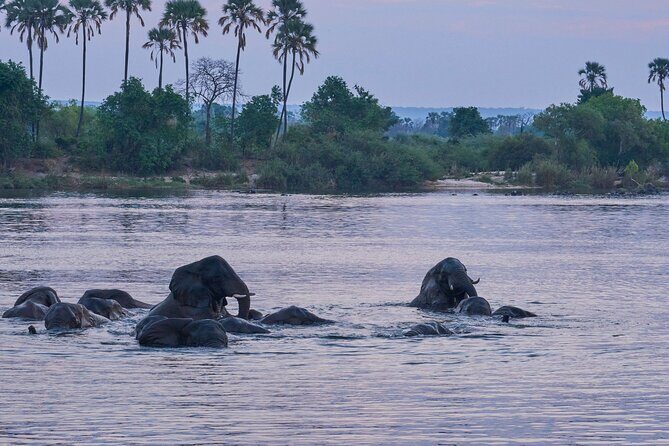 Luxury Zambezi Sunset Game Cruise - Final Thoughts