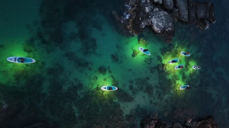 luz-sunset-in-sup-with-aperitif-and-light-show