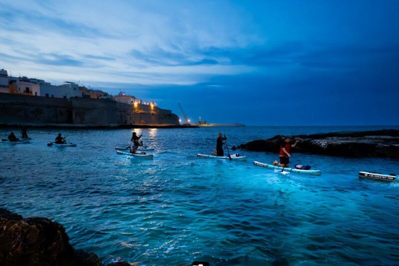 luz-sunset-in-sup-with-aperitif-and-light-show