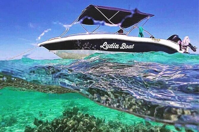 Lydia Boat Mauritius :Private boat tour:Whales&Dolphins encounter - Key Points