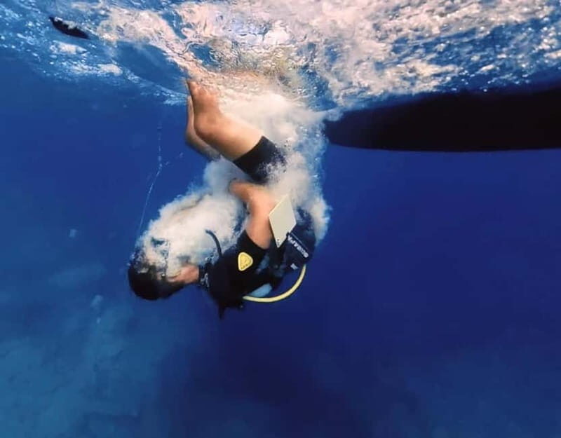 Lygaria Beach: Discover Scuba Diving Plus - Key Points