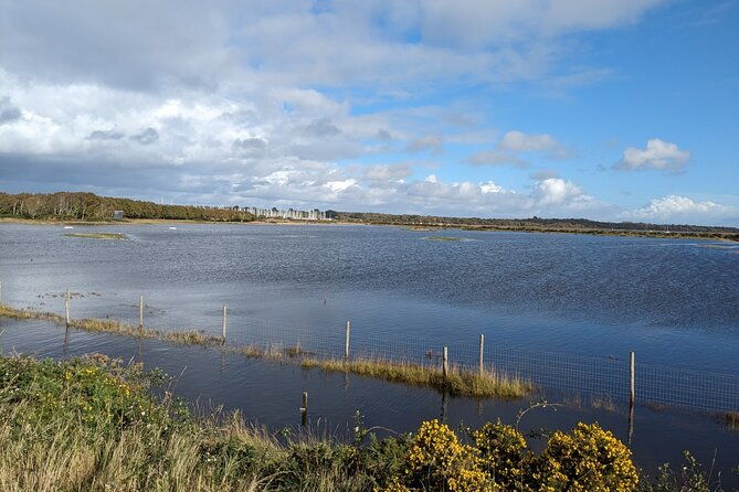 lymington-wildlife-discovery-walk