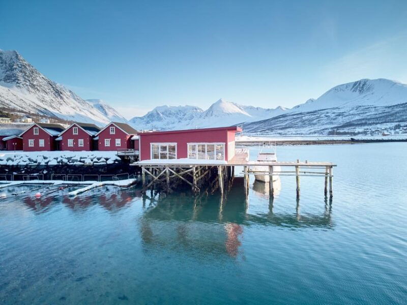 lyngen-snowmobile-safari-with-lunch-in-seaside-restaurant