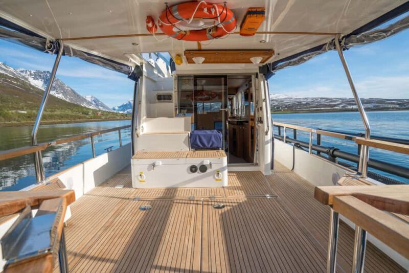 Lyngen: Whale Watching VIP Boat Tour with Lunch - The Details That Matter
