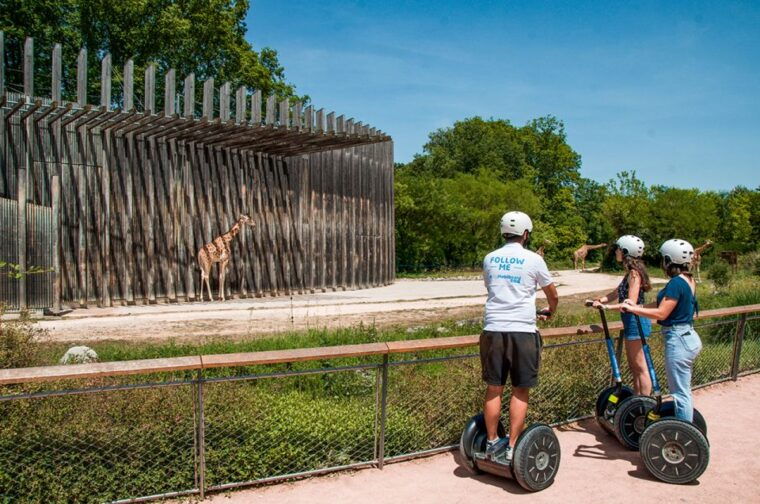 lyon-city-segway-tour-with-a-local-guide
