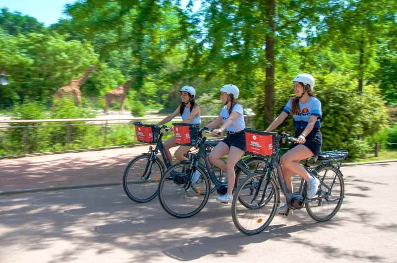Lyon: Discovery of the Tête d'Or Park by eBike - Key Points